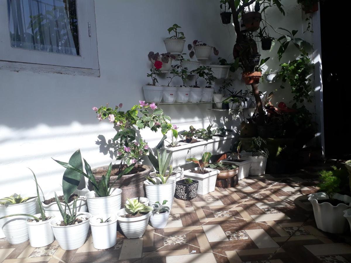 Bumimi Homestay Painan Bagian luar foto