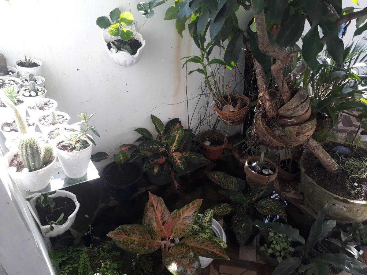 Bumimi Homestay Painan Bagian luar foto